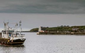 NEW TEAM AT WICK HARBOUR (1)