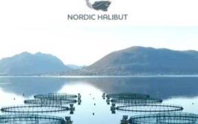 NORDIC HALIBUT PLANS TO RAMP UP PRODUCTION 1
