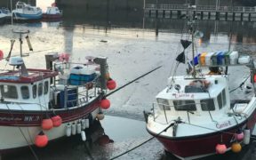 SCOTTISH FISHERIES AND CLIMATE CHANGE SURVEY (1)