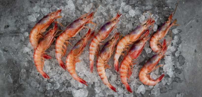 SYKES SEAFOOD ANNOUNCE PURCHASE OF RUSKIM