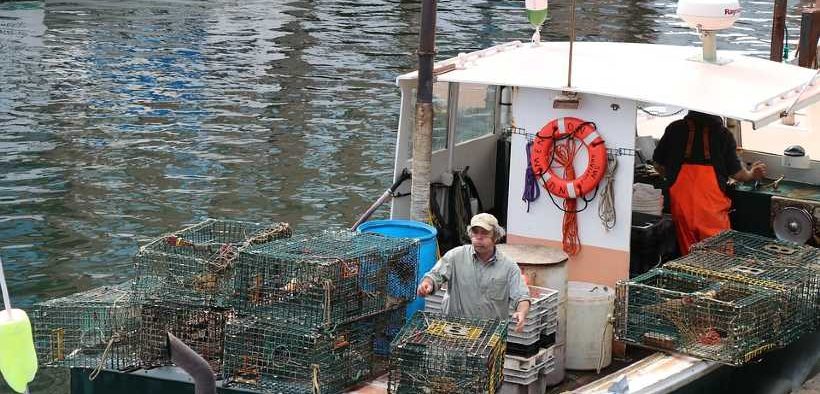 COVID HAD MAJOR IMPACT ON US FISHING
