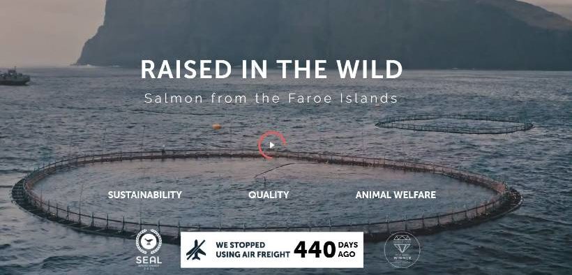 Hiddenfjord Wins 2021 SEAL Business Sustainability Award for 94% Reduction in Carbon Emissions