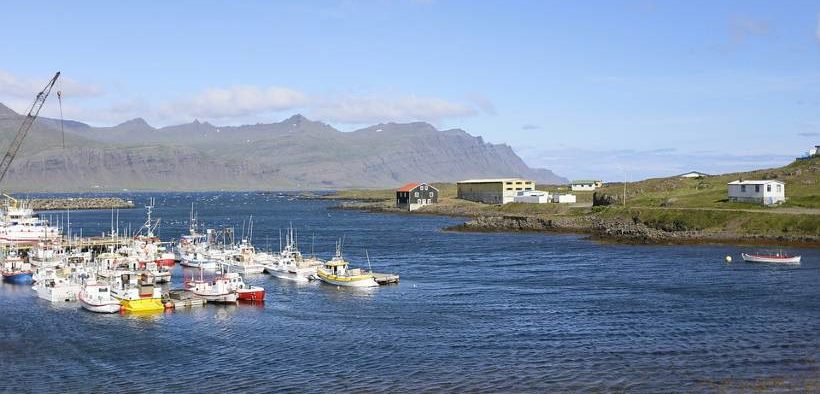 Icelandic fishing sector profit increased in 2020