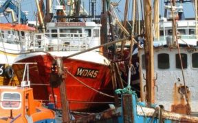 NEW EXECUTIVE CHAIRPERSON OF IRISH FISHERIES