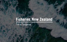 NEW ZEALAND GIVES PUBLIC FISHERIES ADVICE