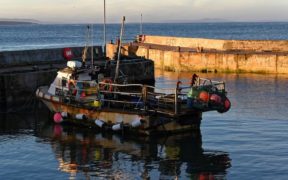 SFF Comments on the UK Fisheries Deal