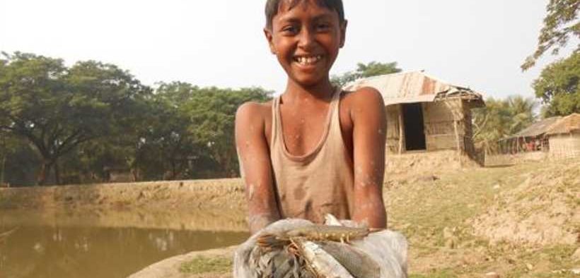 STUDY SHEDS NEW LIGHT ON BANGLADESHI PRAWN