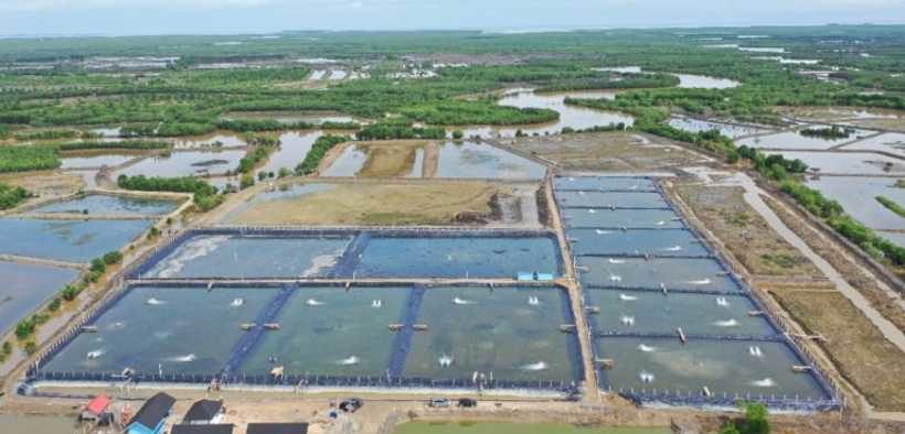 INDONESIA AIMS FOR SUSTAINABLE FISH FARMING