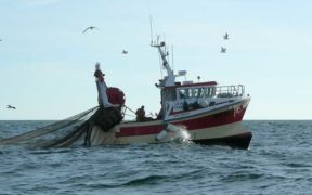 EU FISHERS CALL FOR BALANCED MEASURES