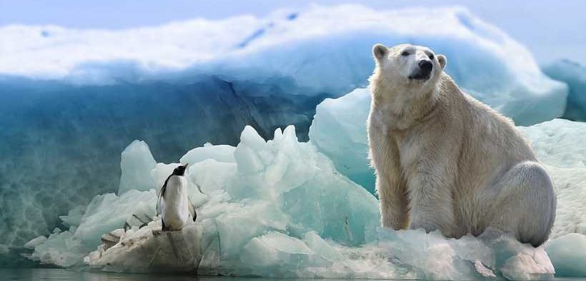 EU-FUNDED RESEARCH REVEALS