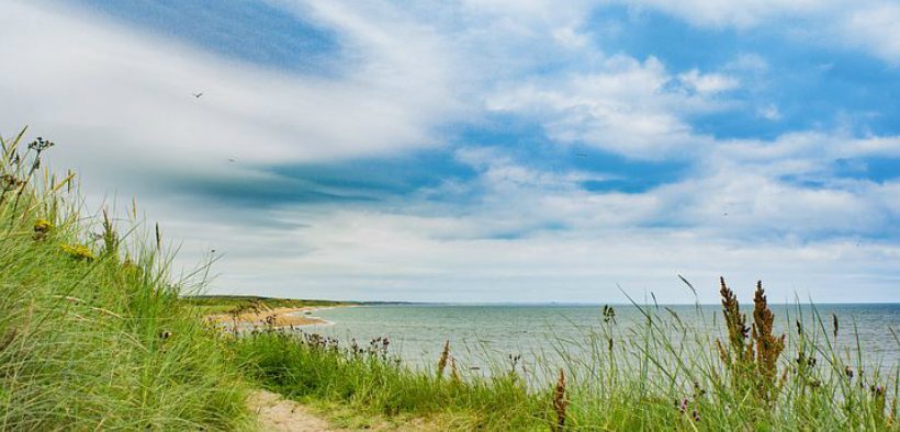 INVESTING IN BLUE CARBON
