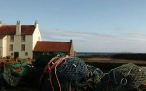 NEW UK WOMEN IN FISHERIES NETWORK