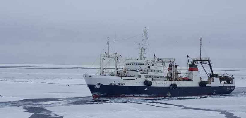 RUSSIAN FISHERY COMPANY GOES ON