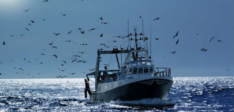 MEPS CALL ON EU TO PROTECT FISHING