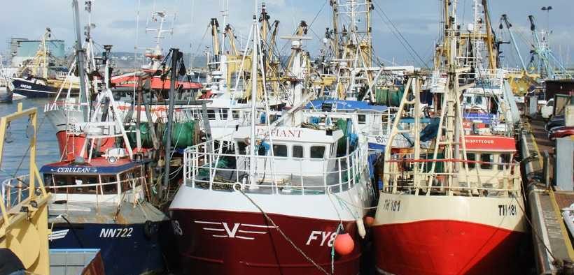 MMO TO RELAUNCH FISHERIES