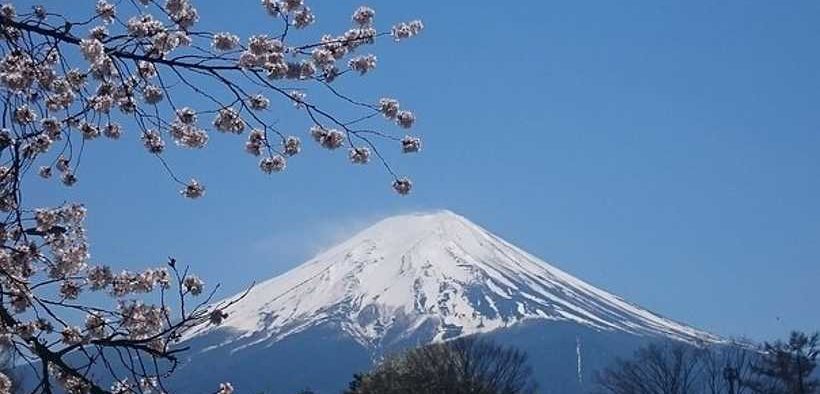 PROXIMAR A STEP CLOSER