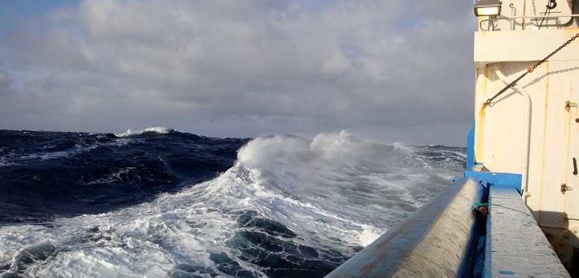 STUDYING THE CRITICALLY ENDANGERED