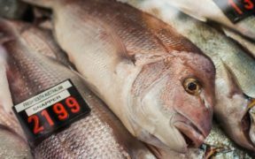 AUSSIE SEAFOOD INDUSTRY WELCOMES NATIONAL