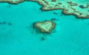 Aussie Government running out of time to improve reef pollution