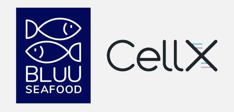 CELLX AND BLUU SEAFOOD