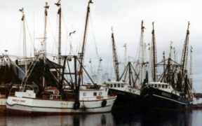 EUROPEAN FISHERIES CONTROL