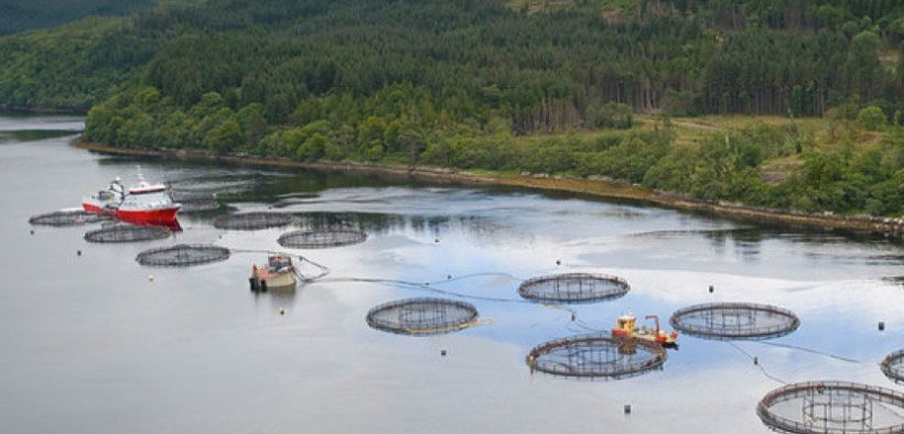 Farm-raised salmon sector joins ‘Team Scotland’ at world’s largest seafood event