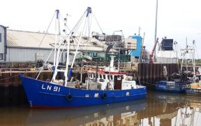 Grant awarded for Norfolk fishery study to protect biodiversity