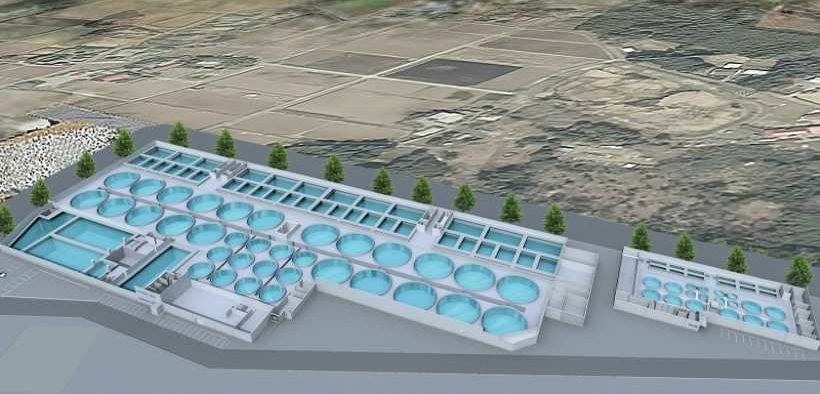 MARUBENI AND PROXIMAR