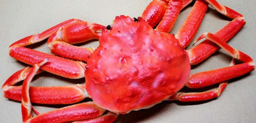SNOW CRAB QUOTA INCREASE