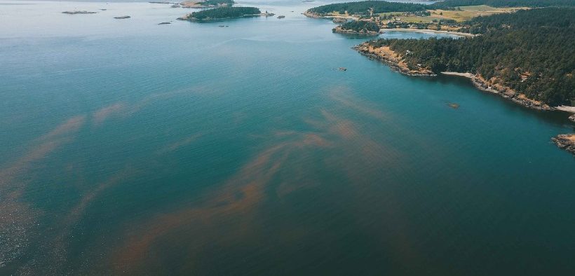 Harmful Algal Blooms Warning