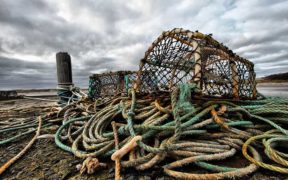 New funding in Canada to tackle ghost gear