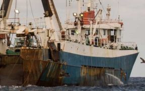 PROFITS FROM ILLEGAL FISHING