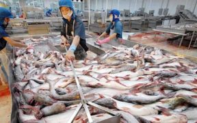 VIETNAM SEAFOOD EXPORTS TO CANADA