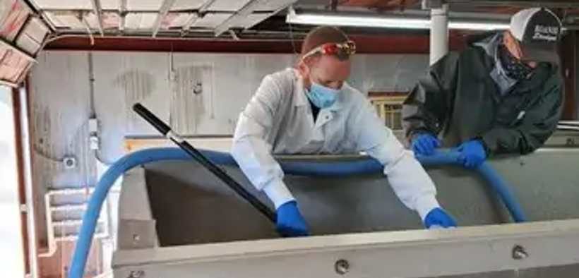 COLLABORATIVE TILAPIA RESEARCH