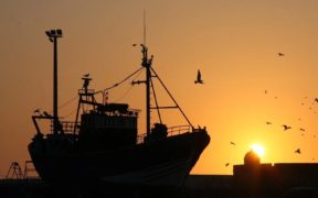 MSC Board of Trustees unanimously approves new Fisheries Standard