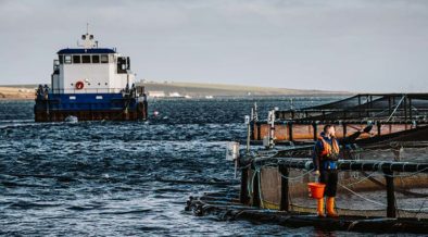 Scottish Sea Farms names new Regional Manager to build on Orkney success