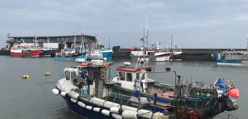 IFCA Reform is Vital