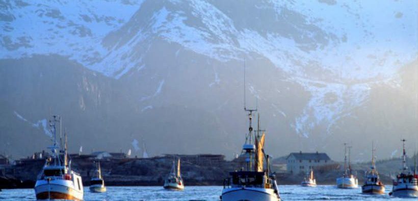 NORWEGIAN GOVERNMENT TO CONSULT
