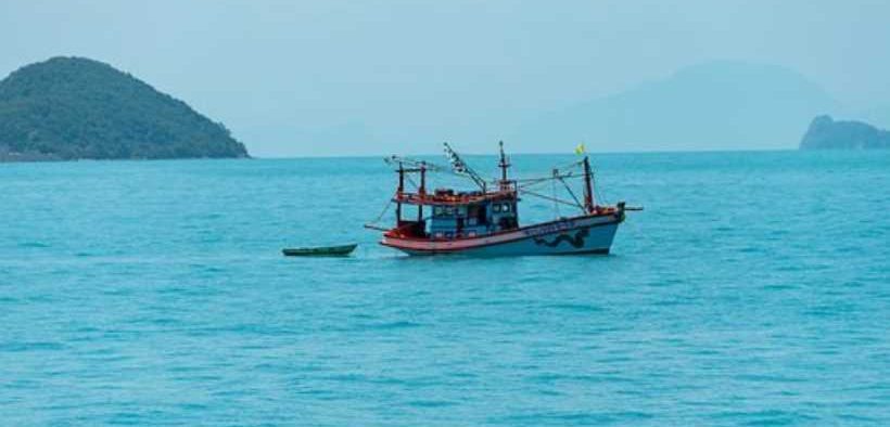 THAI UNION REPORTS RECORD REVENUE