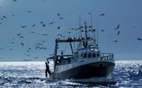 EU FISHING SECTOR SLAMS