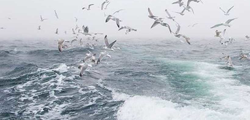 NEW FISHERIES RULES