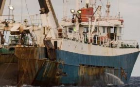 NEW GLOBAL FISHERIES TRANSPARENCY
