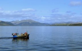New voluntary creel fisheries management in the Clyde