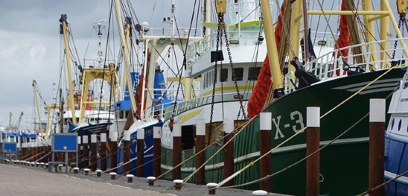 Sustainable Development Goals for the pelagic fishing sector