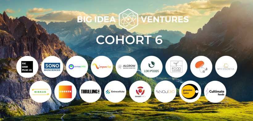 BIG IDEA VENTURES