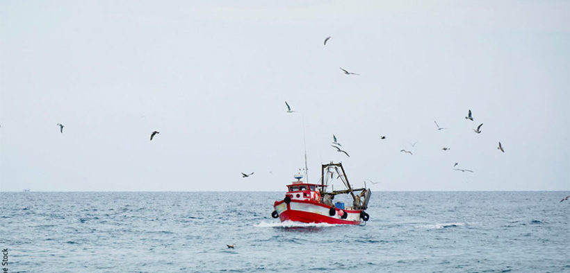 New study of EU commercial fisheries to climate change