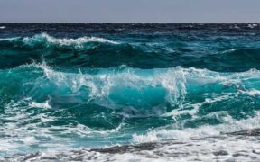 On The Hook claims that a consultation reveals major concerns about performance of Marine Stewardship Council ecolabel