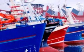 SEA-FISHERIES PROTECTION AUTHORITY(1)