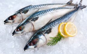 Scots fishers call for action on international mackerel management