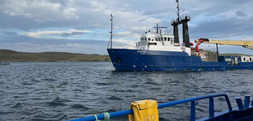 TRIALS OF PIONEERING NEW